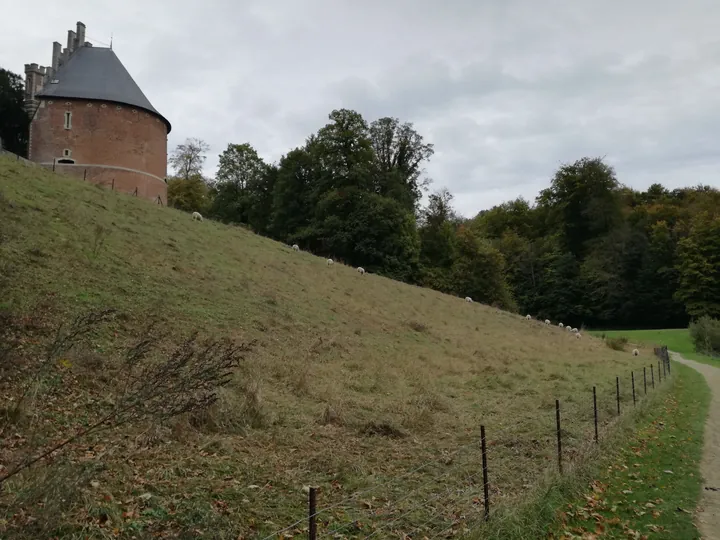 Gaasbeek + Castle of Gaasbeek (Lennik, Belgium)